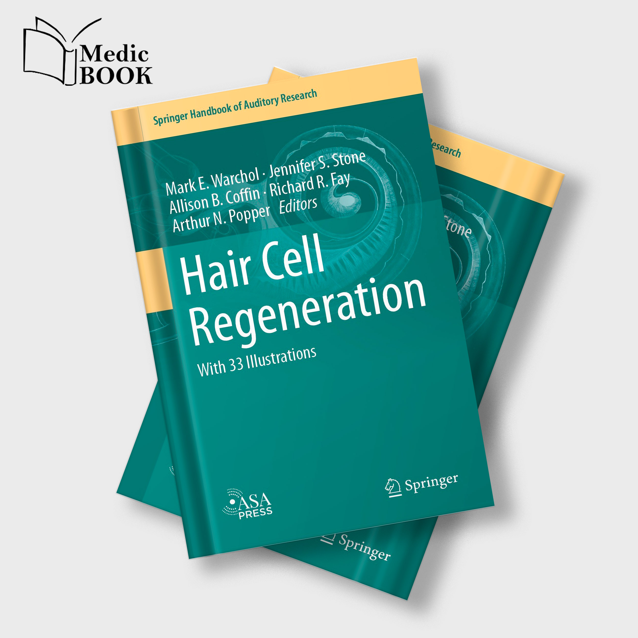 Hair Cell Regeneration Springer Handbook of Auditory Research 75