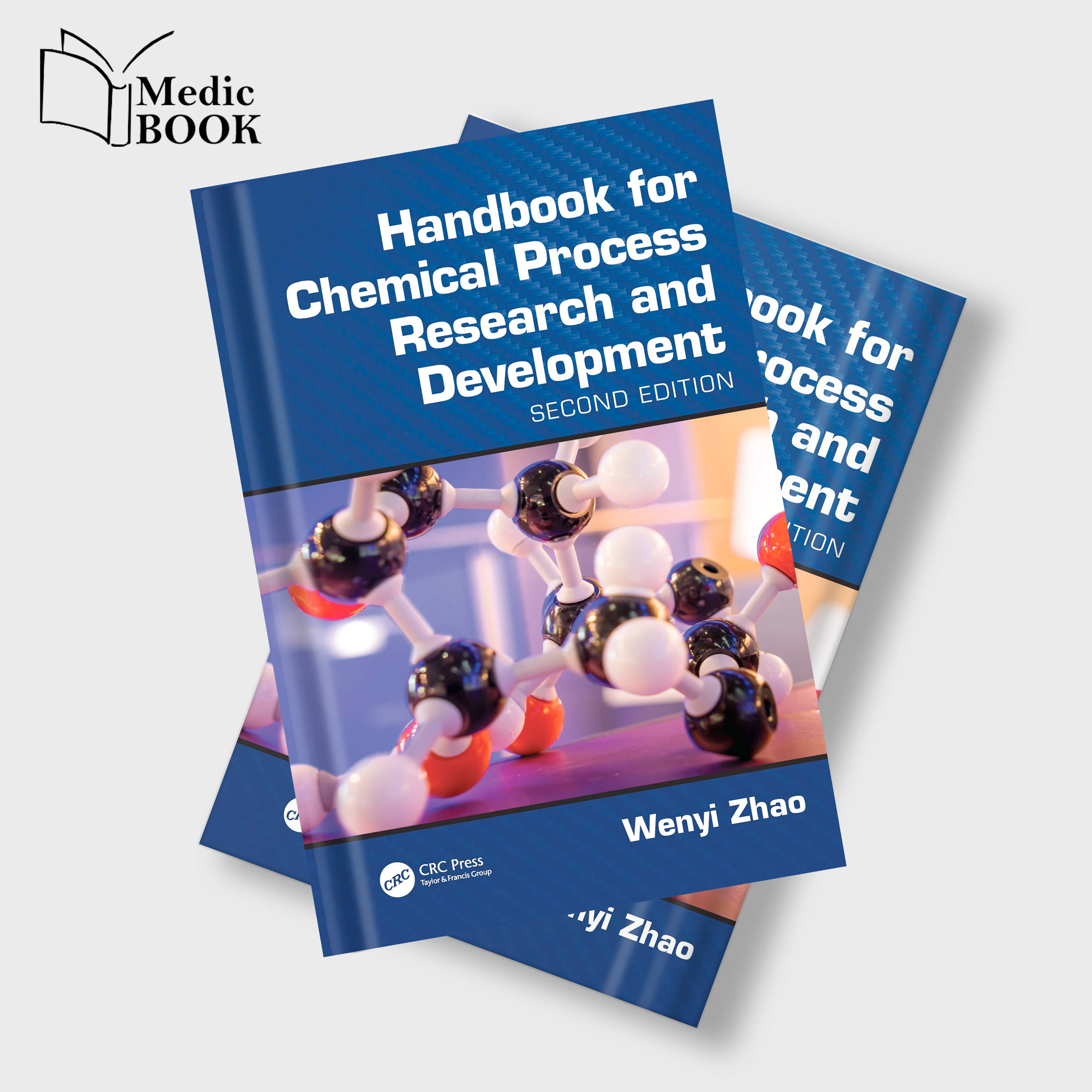 Handbook For Chemical Process Research And Development 2nd Edition Original PDF From Publisher